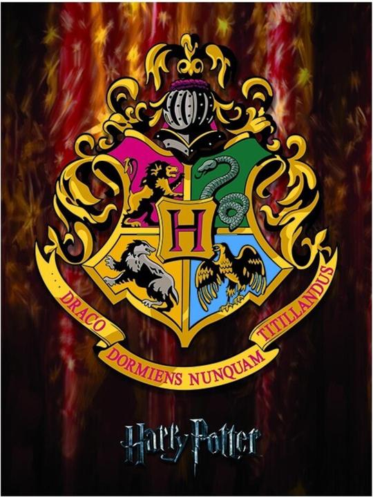 Immagine prodotto Stampa su tela con cornice della cresta di Hogwarts (50 x 40 cm)