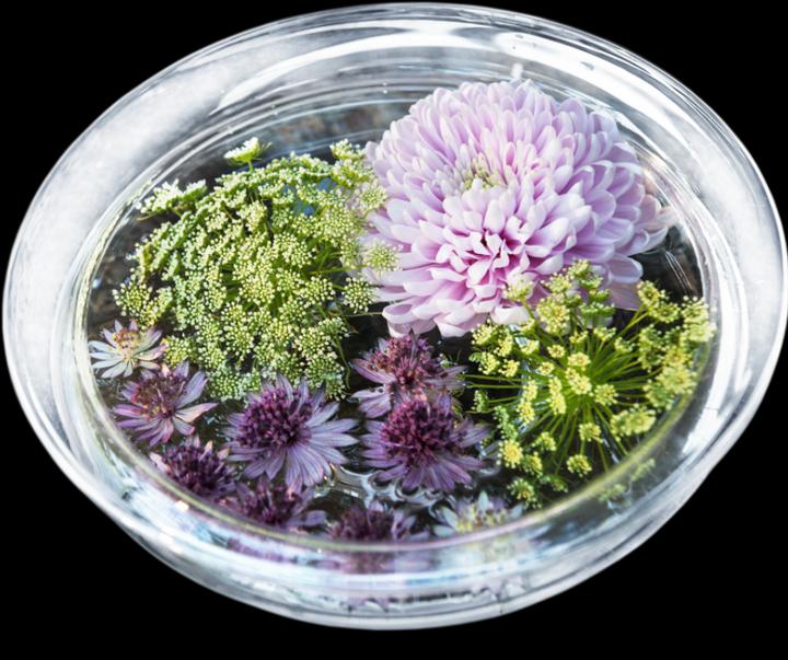 Produktbild Holmegaard Old English Blumenschale (Ø 25 cm)