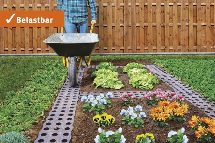 Produktbild Garantia Maxi-Beetplatte
