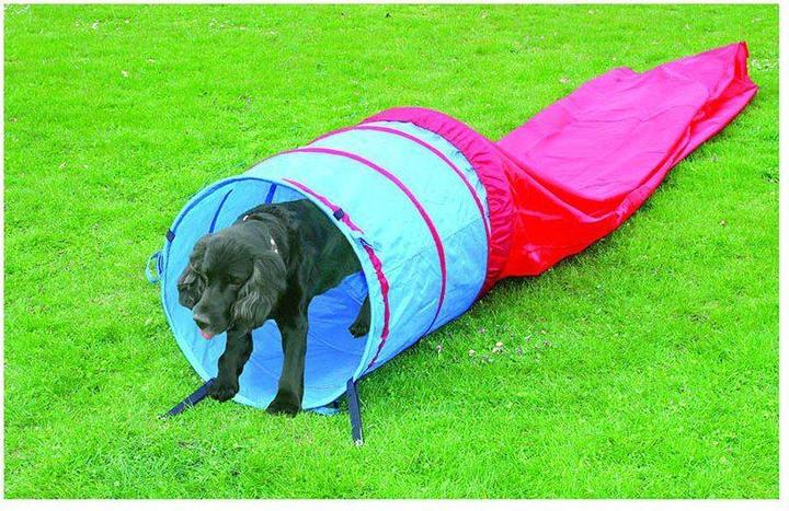 Produktbild Pawise Agility Tunnel 5m Ø60Cm - (636.9006)