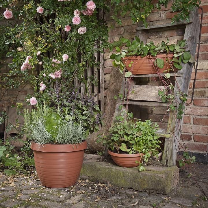 Produktbild Scheurich Country Star (29 cm)