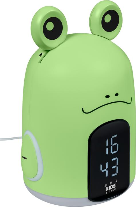 Actual product image Bigben Frog