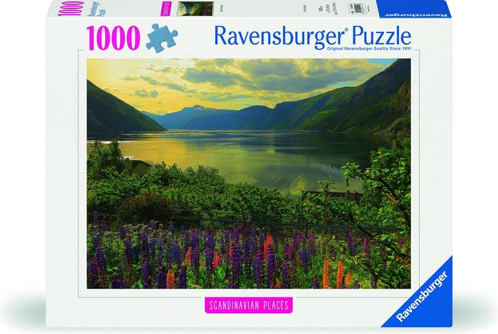 Image du produit Ravensburger Fjord en Norvège (1000 pièces)