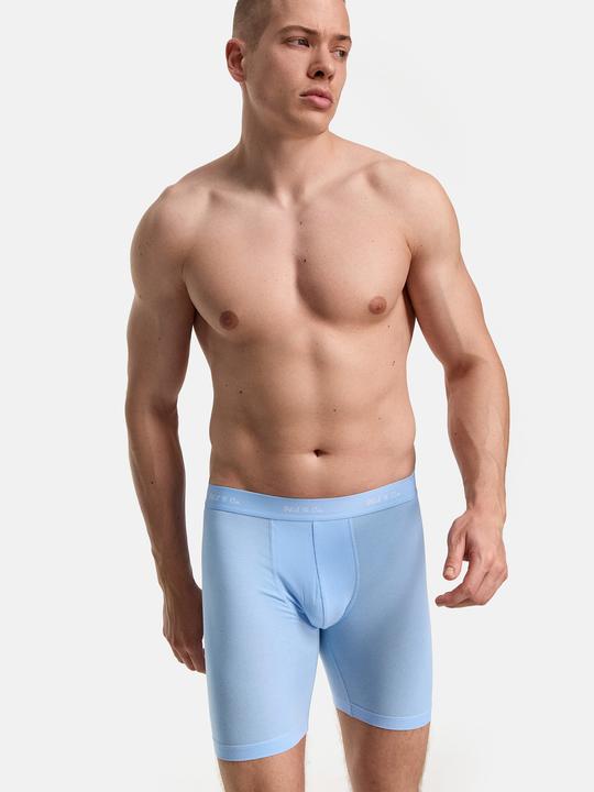 Actual product image Phil & Co. Berlin Retro Boxer Long (XXL, pack of 2)
