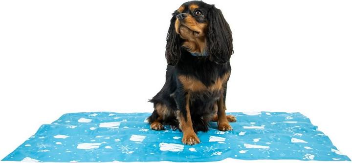 Actual product image Ancol Ice Paws Dog Cooling Mat (Dog)