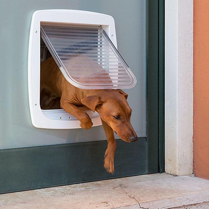 Actual product image Ferplast Swing 11 grey - Dog door and cat door - 31 x 9 6 x 38 4 cm (Manual cat flap)