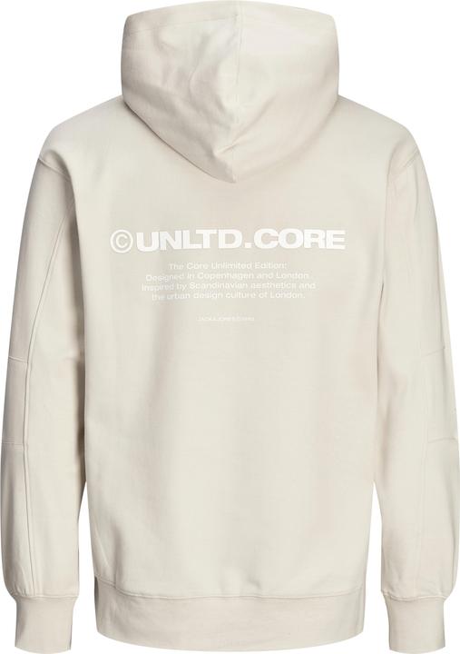 Produktbild Jack & Jones Jcoaero Print Sweat Hood Noos (L)