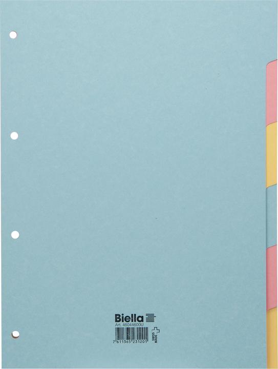 Image du produit Biella Enregistrer Pleine grandeur coloré