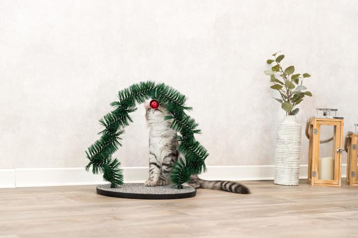 Produktbild Trixie Xmas Massage- und Fellpflegebogen (Katze)