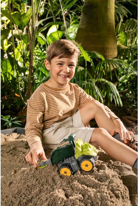 Actual product image BIG -PW Mini Dino Triceratops