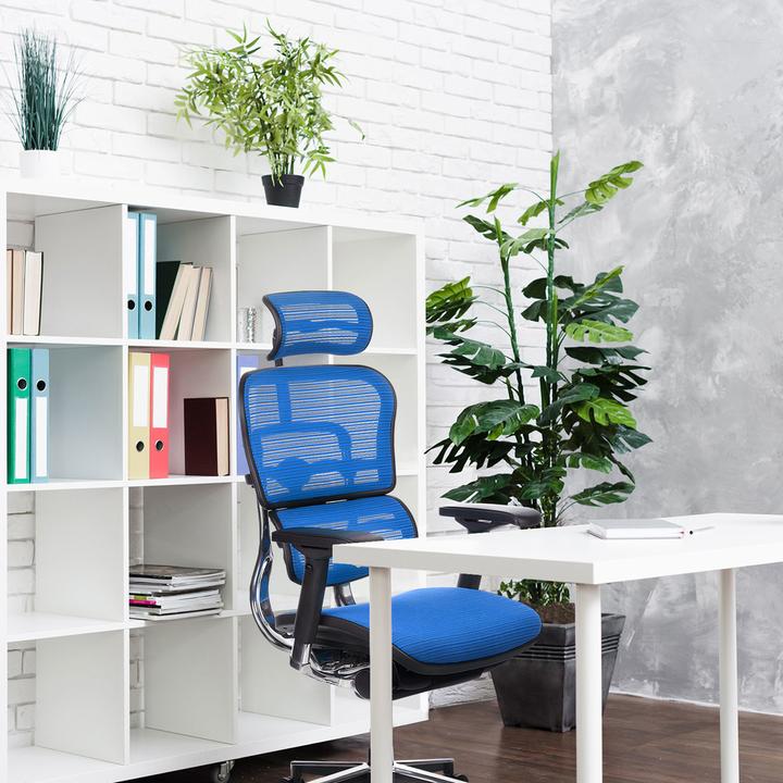 Actual product image Hjh Office ERGOHUMAN