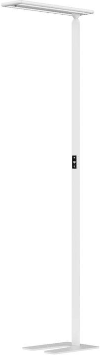 Actual product image Hansa LARIMAR - Floor lamp (4700 lm)