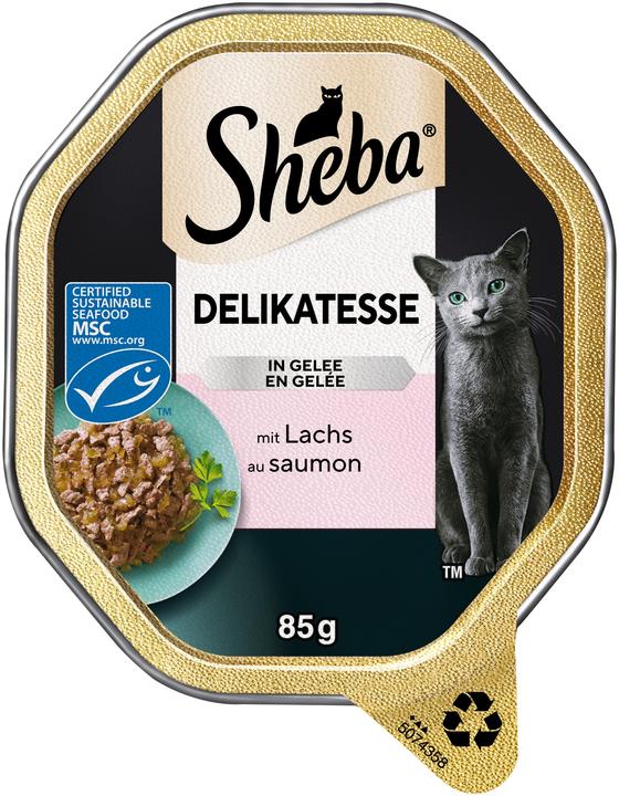 Actual product image Sheba Delicacy in jelly (Adult, 1 pcs., 85 g)