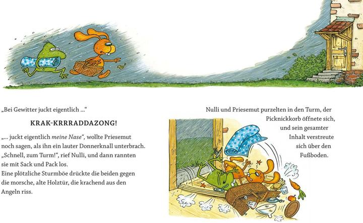 Produktbild Wirbel um den Wetterfrosch (Deutsch, Matthias Sodtke, 2017)