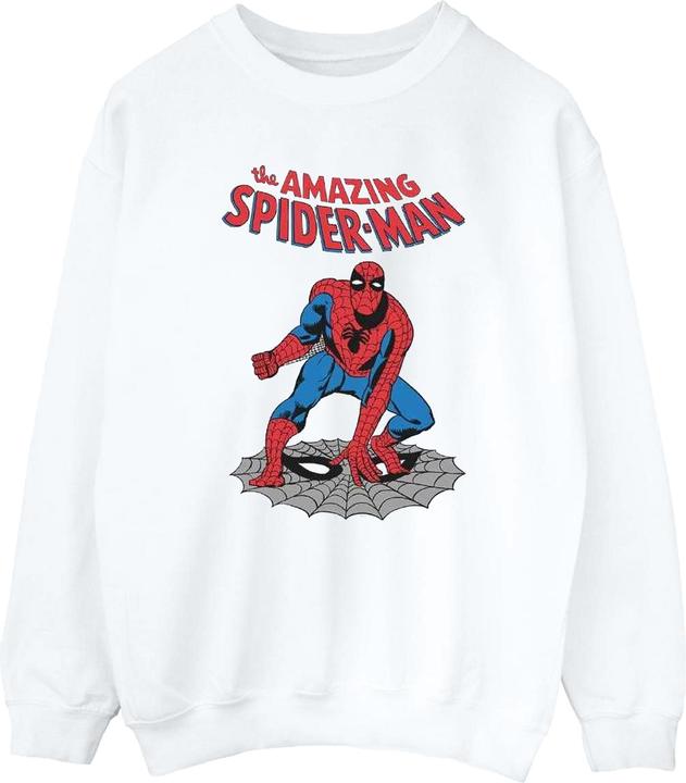 Image du produit - Sweat THE AMAZING SPIDER-MAN - Garçon (140, 146)