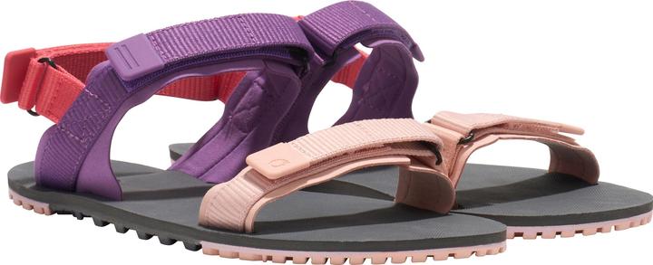Mirtillo rosso multi