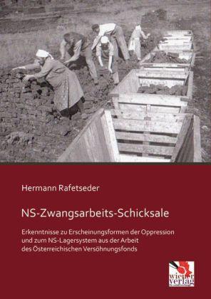 Actual product image NS-Zwangsarbeits-Schicksale (German, Hermann Rafetseder, 2014)