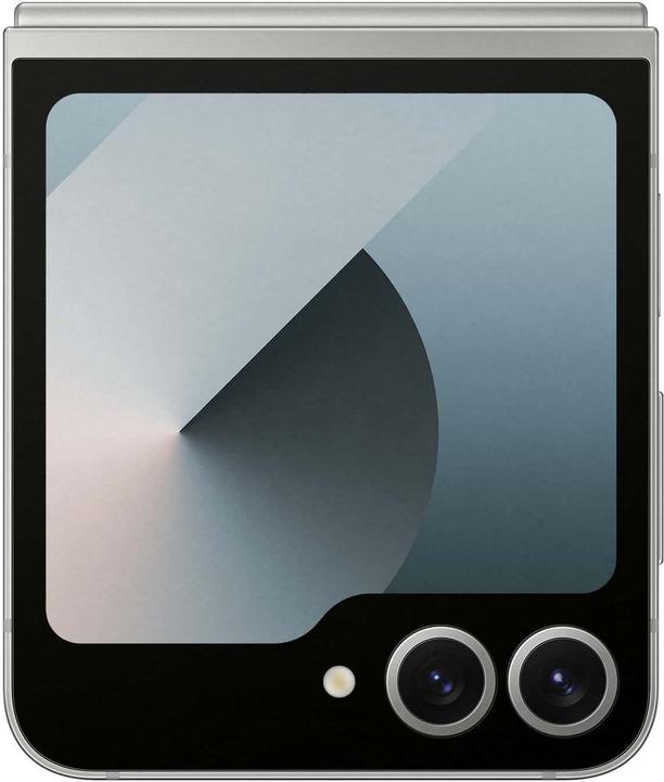 Produktbild Samsung DUPLIKAT Galaxy Z Flip6 (256 GB, Silver Shadow, 6.70", SIM + eSIM, 50 Mpx, 5G)
