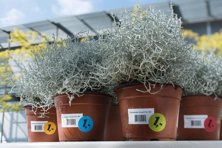 Image du produit HERMA Étiquettes résistantes aux intempéries A4 amovibles