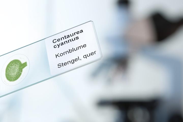 Actual product image HERMA Weatherproof labels A4