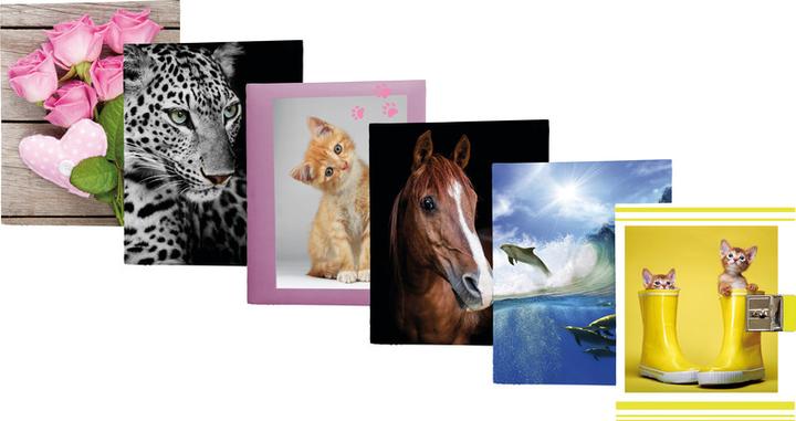 Image du produit Eibert Visual Chatons (160 x 190 mm)