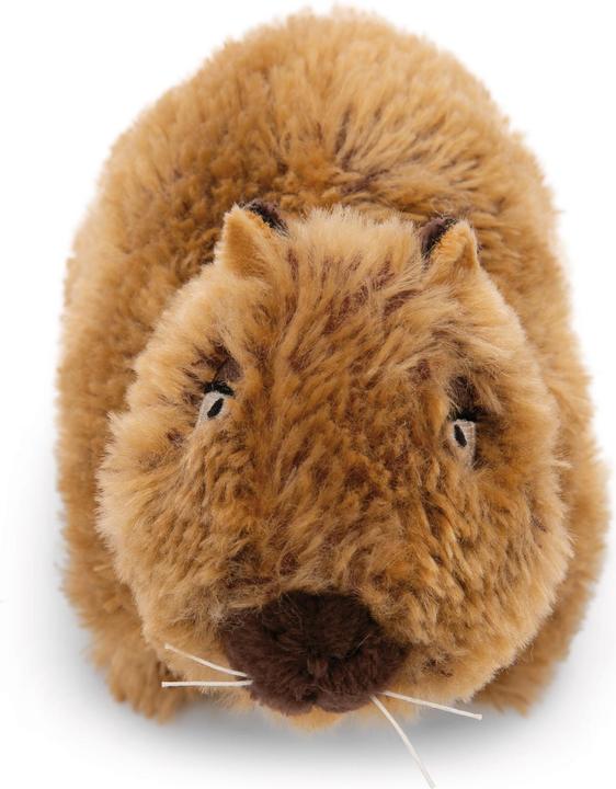 Actual product image NICI Capy-Barbara cuddly toy (12 cm)