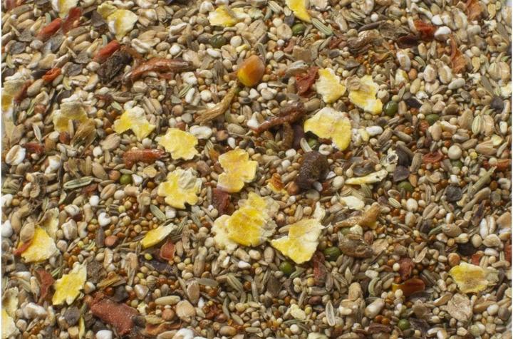 Actual product image JR Farm Staple Food Basic Mice Feast, 600 g (0.70 kg, 1 x)