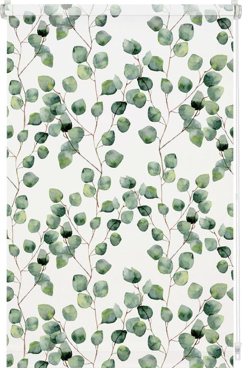 Gardinia EASYFIX Rollo Digiprint Isabella (80 x 150 cm)