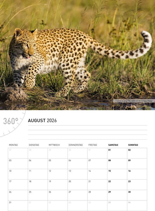 Produktbild NamibiaBroschürenkalender2026 (Deutsch)