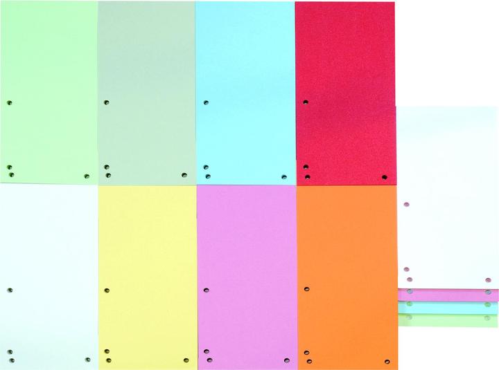 Immagine prodotto Donau Manicotti, cartone, A4, 235x300mm, 0-9, 50 schede perforate, mix di colori