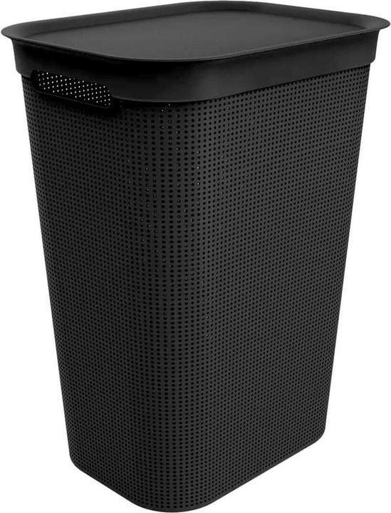Rotho Brisen (50 l)