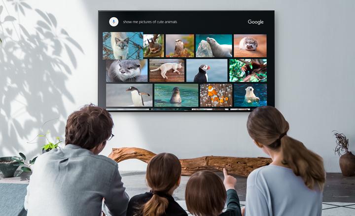 Produktbild Sony Kd-85xf8596 (85", LCD, 4K, 2018)