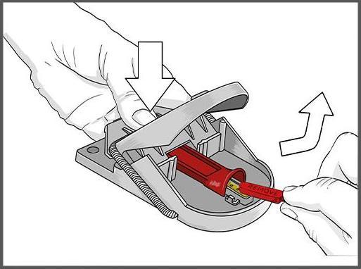 Actual product image Swissinno Mousetrap Pro SuperCat pack of 2