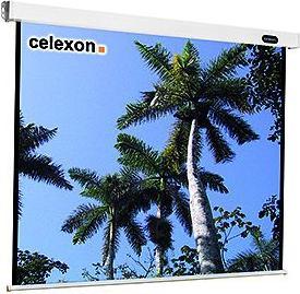 Celexon Mobile Expert Folding Frame Screen - Schermo (99.61", 4:3)