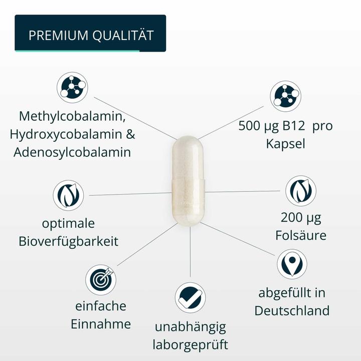 Image du produit Brandl-Nutrition Vitamine B12 Acide folique (1 pièce(s), Capsules, 45 g)