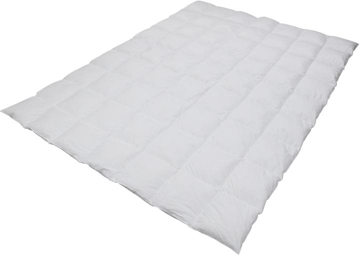 Produktbild Albis Duvet mit Arvenholzspänen (900 g, 200 x 210 cm)