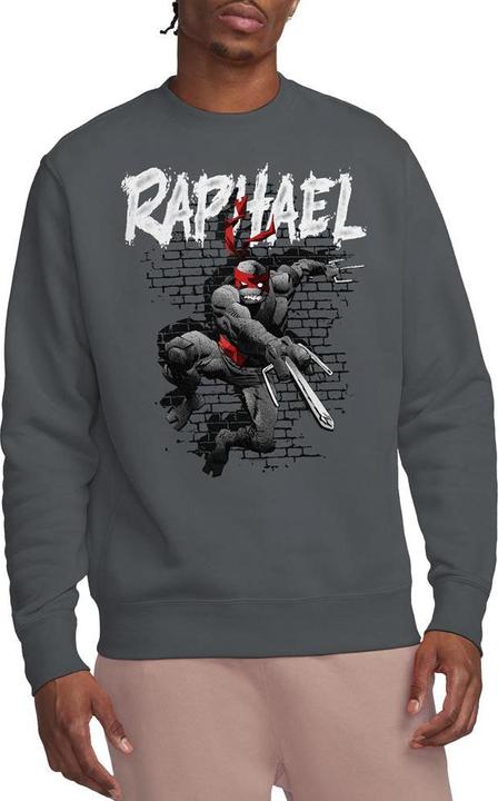 Produktbild Teenage Mutant NT Sweatshirt (XXL)