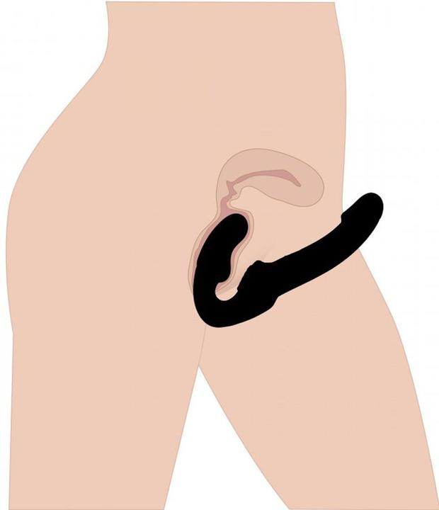 Image du produit XR Brands Strapless Strap-on