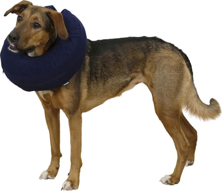 Image du produit Kerbl Collier pour chien, Collier gonflable chien, 3 tailles Tour de cou 18-50cm (18-30cm) (Chien)