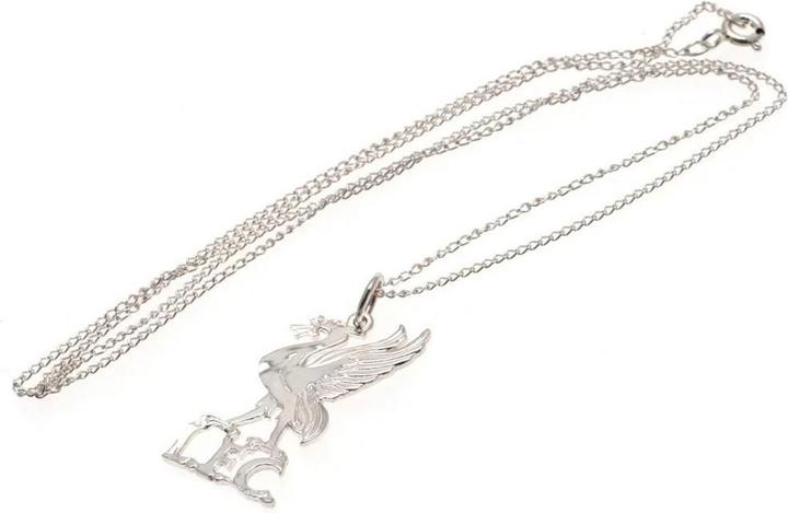 Immagine prodotto Score Draw Placcato Argento Collana e Ciondolo (100% materiale sintetico)