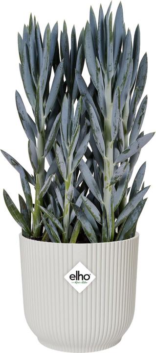 Actual product image Elho Vibes Fold (25 cm)