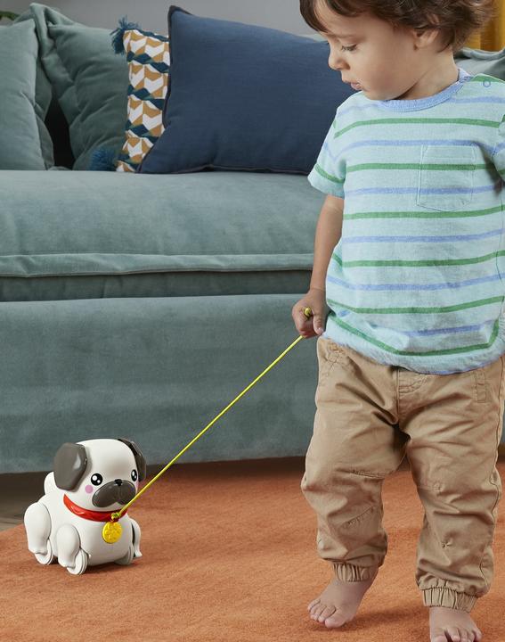 Immagine prodotto Fisher-Price gioca e tira il carlino