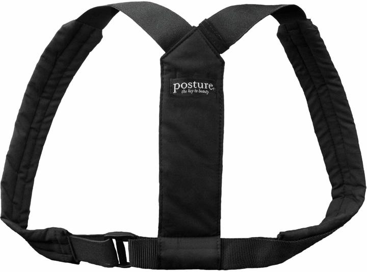 Swedish Posture Flexi