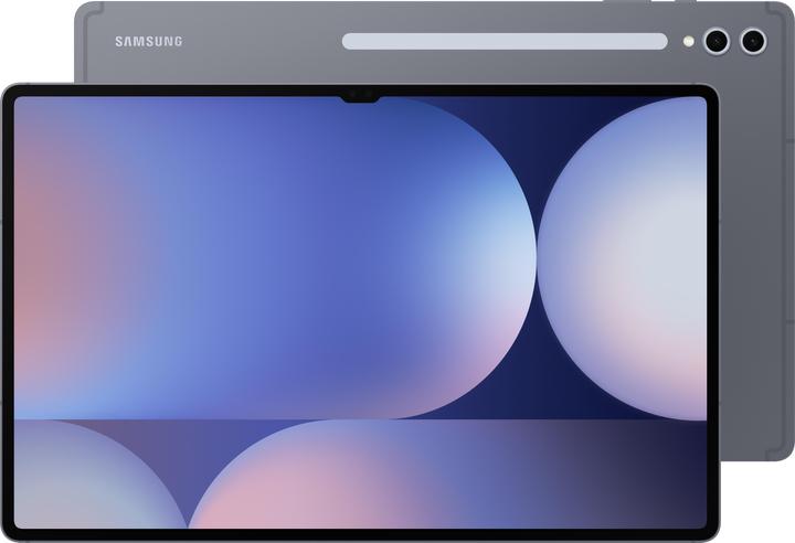 Actual product image Samsung Galaxy Tab S10 Ultra (WLAN only, 14.60", 256 GB, Moonstone grey)