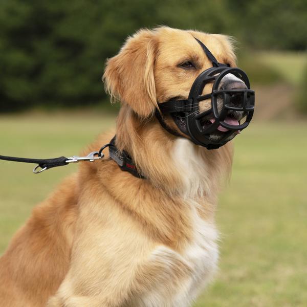 Actual product image Company of Animals Ultra muzzle Baskerville (5, Dog, General)