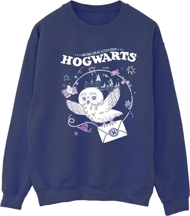 Produktbild Owl Letter From Hogwarts Sweatshirt (XL)