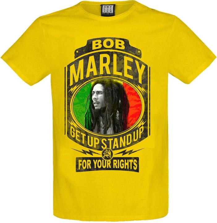 Amplified Fight For Your Rights TShirt
