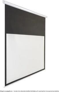 Avtek Business 240 - Screen - Ceiling mounting possible, suitable for wall mounting - 271 (16:10)
