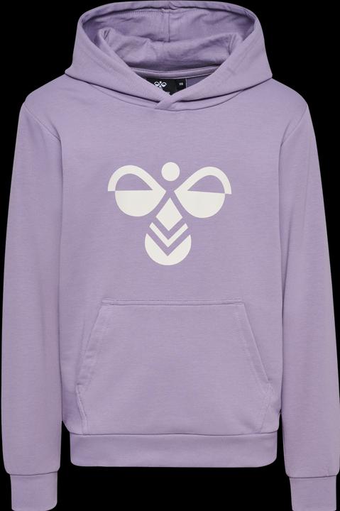 Image du produit hummel hmlCUATRO HOODIE (176)