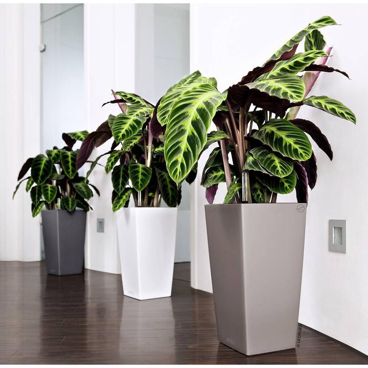 Produktbild Lechuza Cubico (39.50 cm)